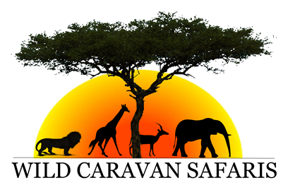 Caravan Safaris